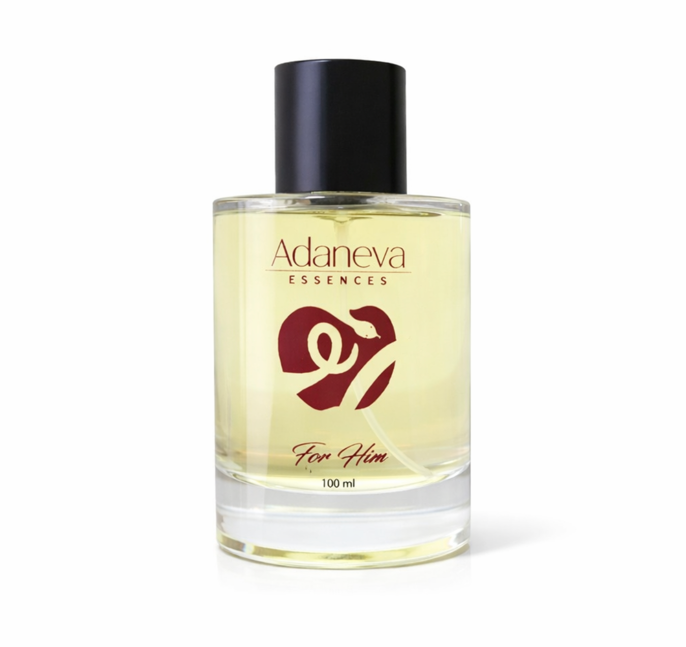 Adaneva FM 6 inspirado en One Million